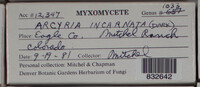 Image Associated With the Occurence
